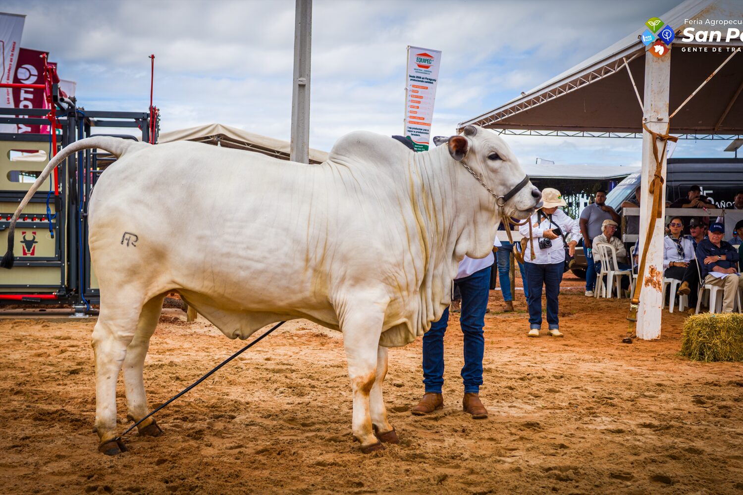Feria San Pedro - foto 11